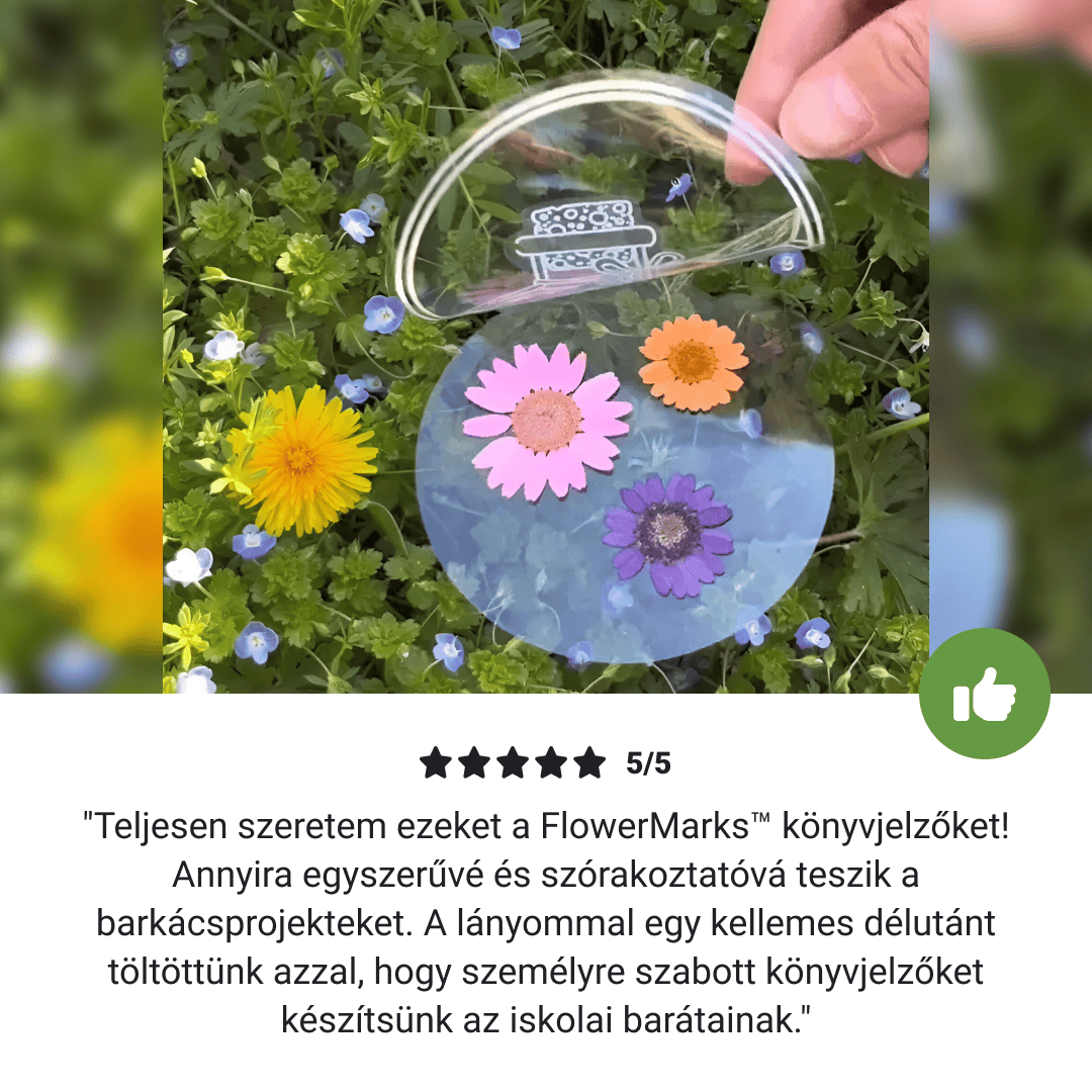 FLOWERMARKS™ ÁTLÁTSZÓ SZÁRÍTOTT VIRÁG KÖNYJELZŐK - 80 DB. 1+1 INGYEN! - Image 6