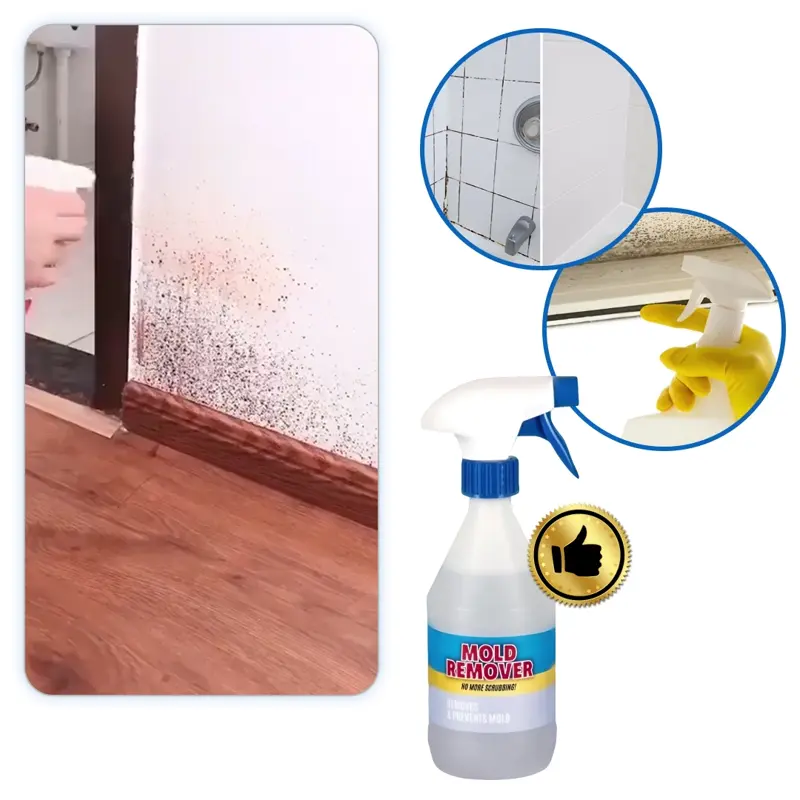 Moldguard – Penész eltávolító és otthoni penész végleges megszüntetésére szolgáló spray