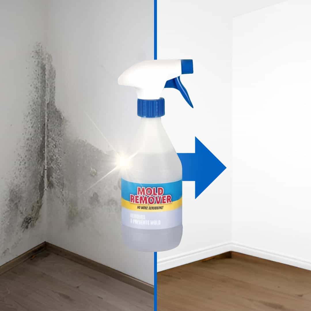 Moldguard – Penész eltávolító és otthoni penész végleges megszüntetésére szolgáló spray - Image 3