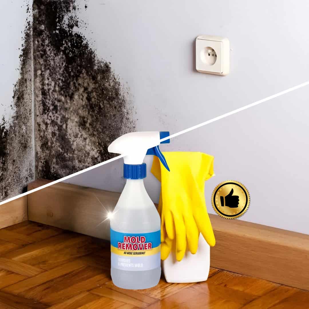 Moldguard – Penész eltávolító és otthoni penész végleges megszüntetésére szolgáló spray - Image 5
