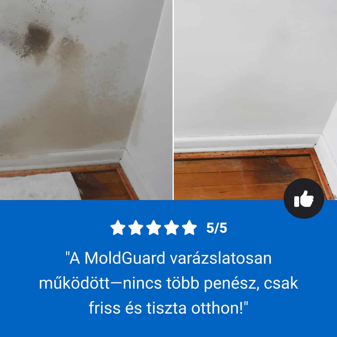 Moldguard – Penész eltávolító és otthoni penész végleges megszüntetésére szolgáló spray - Image 8