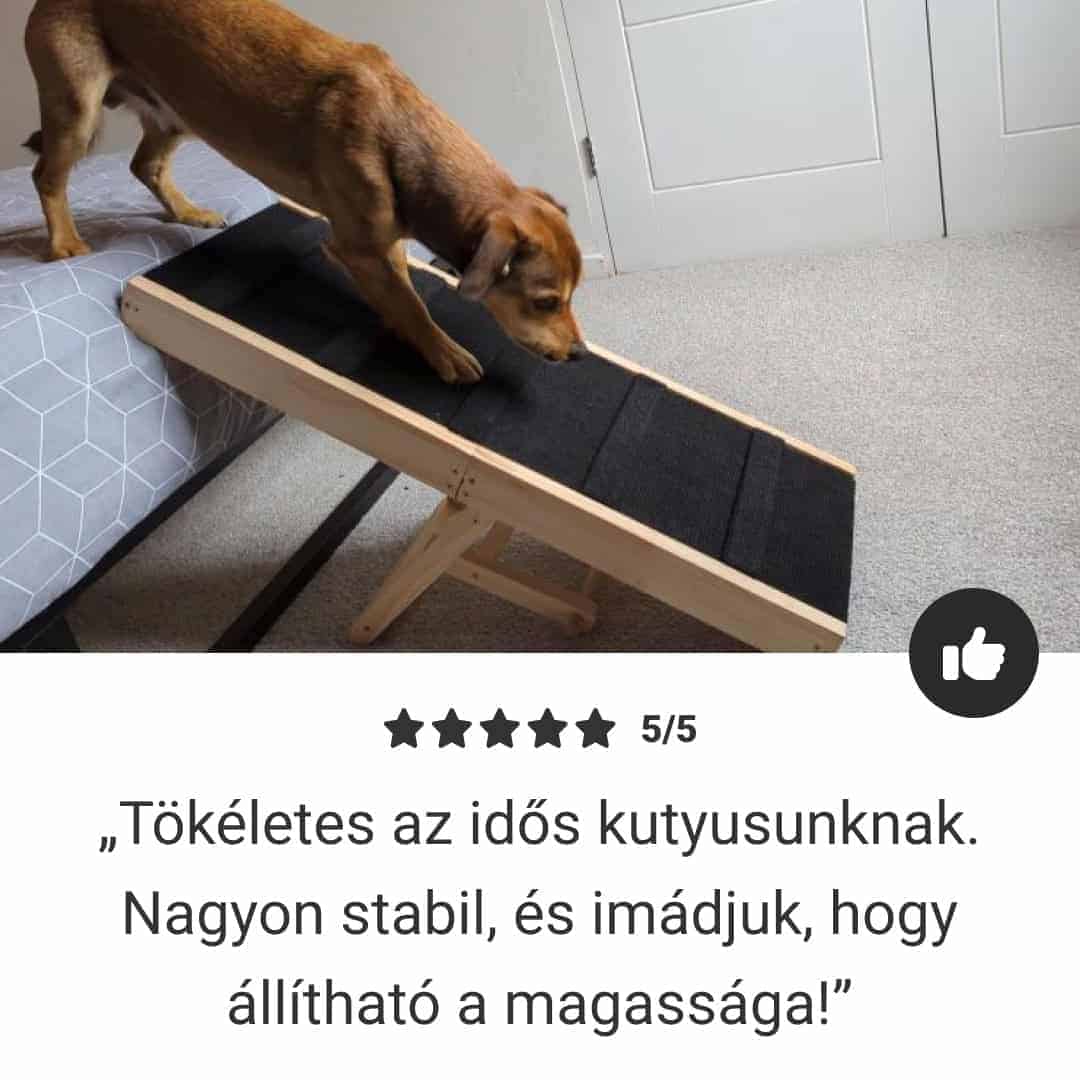 PetEase – rámpa a könnyű és biztonságos feljutáshoz kisebb és idős háziállatok számára - Image 6